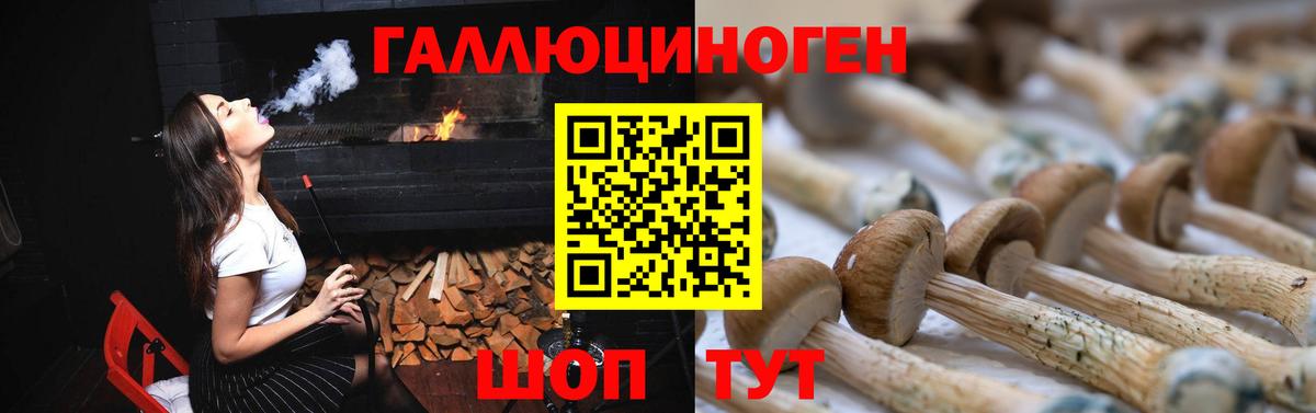 Галлюциногенные грибы MAGIC MUSHROOMS  Галлюциногенные грибы прущие грибы  Сосновый Бор  Вход с VPN 